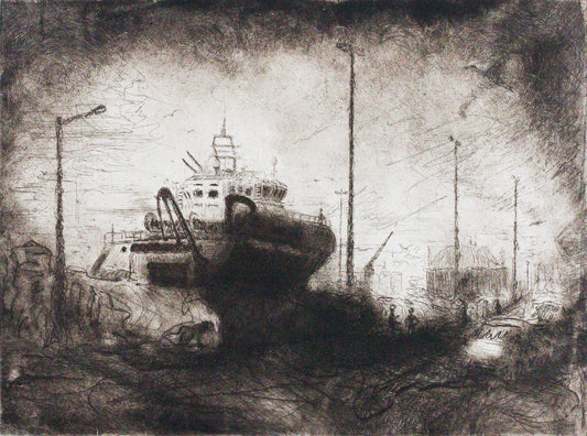 Pacific Dolphin along Waterloo Quay